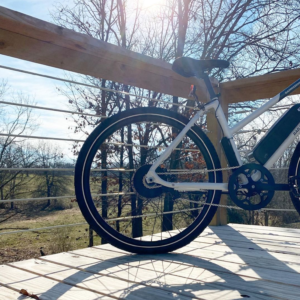 Read more about the article E-Bike Guide for Beginners | Oz E-Bikes NWA