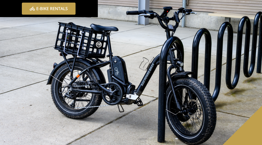 Read more about the article E-Bike Rentals Near Me | OZ E-Bikes